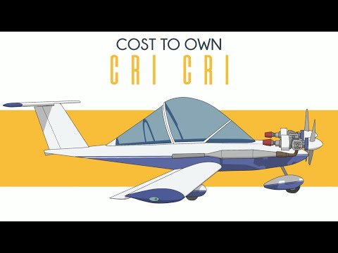 Видео: Cri Cri — самые маленькие и самые дешевые близнецы в мире