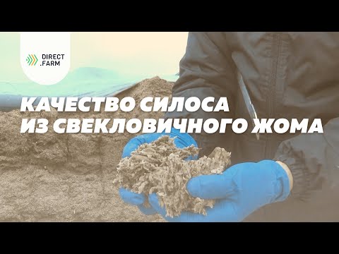 Видео: Результаты анализа кормовой ценности силосованного свекловичного жома