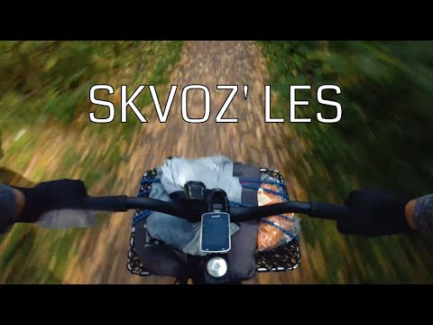 Видео: Сквозь осенний лес без передач и тормозов | Fixed Gear