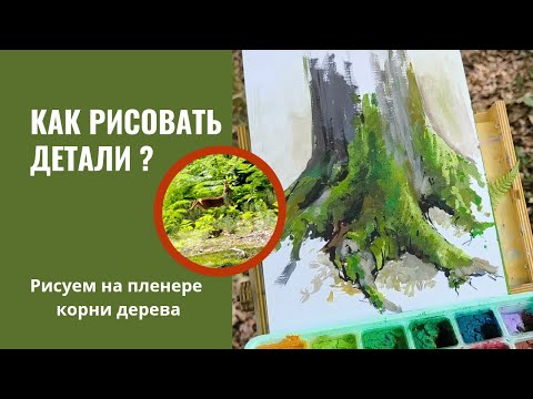 Видео: Как рисовать детали? Пленер в лесу