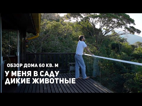 Видео: Обзор деревянного дома 60 м² в Бразилии за 65 000$. Жизнь в диком лесу.