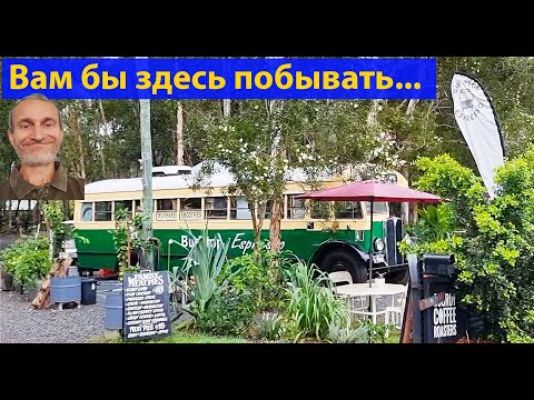 Видео: Путешествуем по Австралии. Шикарная природа, кемпинг, козлы и горы в облаках. (видео 611)