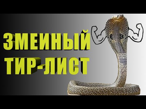 Видео: Тир лист змей [Земля - это игра]