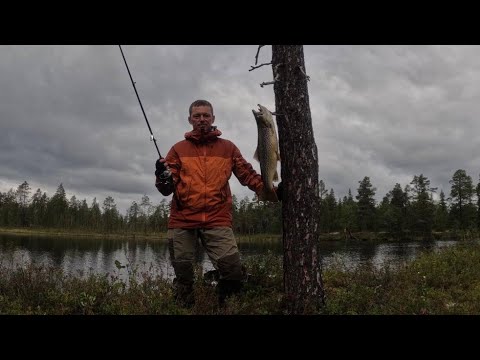 Видео: Одиночный сплав по рекам и озерам Кольского полуострова. Август 2023. Часть 2