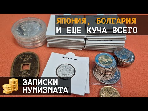 Видео: Новинки 2024 года, Япония, Болгария и куча всего