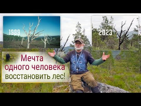 Видео: Мечта человека - восстановить лес!