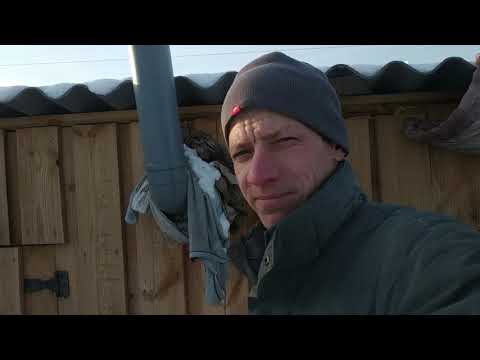 Видео: Новый сарай спустя 3 месяца!