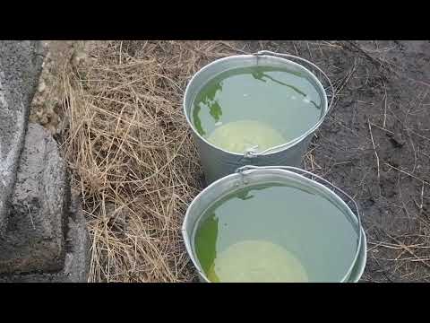 Видео: 9.11.2025 год обзор маток, пропаиваем витамины, бронь продолжается 8965 92 84 839 ватсапп 