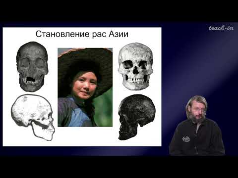 Видео: Дробышевский С.В. - Антропология - 12. Человеческие расы. Азия