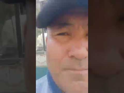 Видео: Кобил бахши Бойсун якка толда кудратака туйида хизматда 