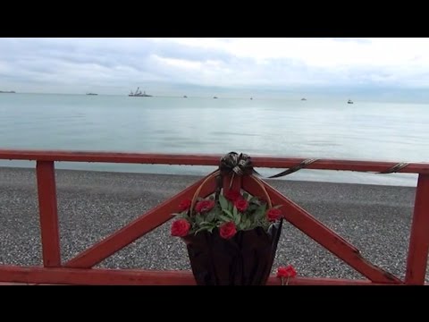 Видео: Последние слова пилотов Ту-154 вызвали недоумение экспертов