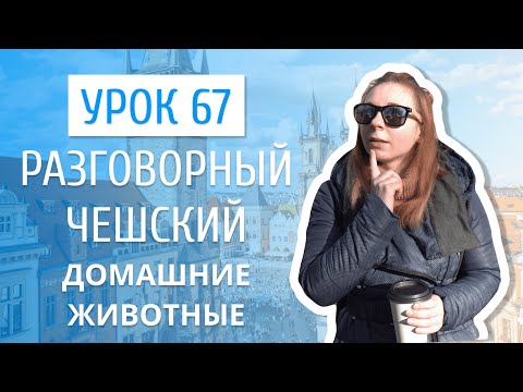 Видео: Урок 67. Разговорный чешский I Домашние животные