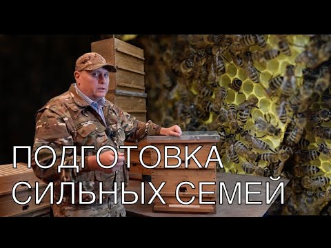 Видео: ПОДГОТОВКА ПЧЕЛ К ПРОМЫШЛЕННОМУ ПЧЕЛОВОЖДЕНИЮ 
