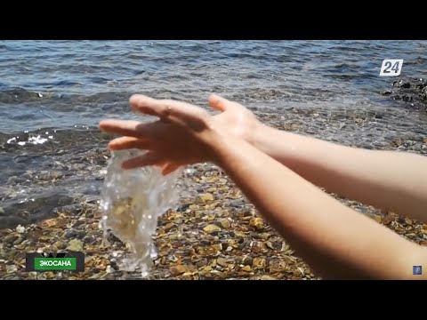 Видео: 2030 жылға қарай елде су тапшылығы өткір сезілуі мүмкін | Экосана