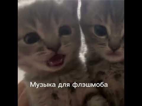 Видео: Музыка для флэшмоба