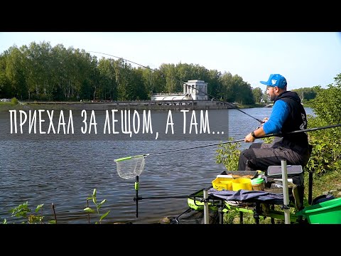 Видео: Фидер на Канале им. Москвы / Олег Квициния