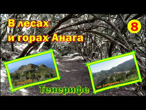 Видео: Уйти и вернуться! Горы Анага.Пико дель Инглес, тоннель Счастья, Чинамада / Anaga-Gebirge, Teneriffa