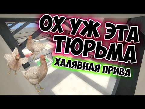 Видео: ДИКИЙ НАЧАЛЬНИК ТЮРЬМЫ! ПРИКОЛЫ, МОМЕНТЫ и ХАЛЯВА в КС / CS 1.6 JailBreak / FREE VIP+GALAXY Админка