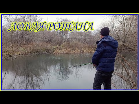 Видео: Рыбалка в ноябре. Пробую ловить ротана на поплавочную снасть