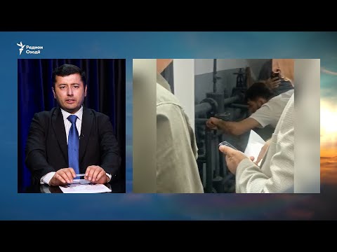 Видео: Видеои нави гумонбари куштор дар ноҳияи Рӯдакӣ
