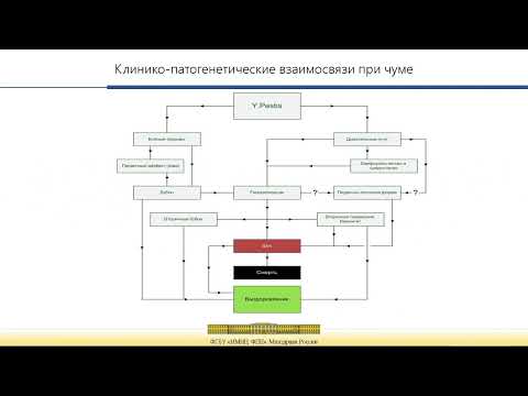 Видео: Современное представление о клинике,диагностике,лечении чумы. Вопросы организации медицинской помощи