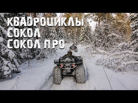 Видео: Сокол - проверка снегом.