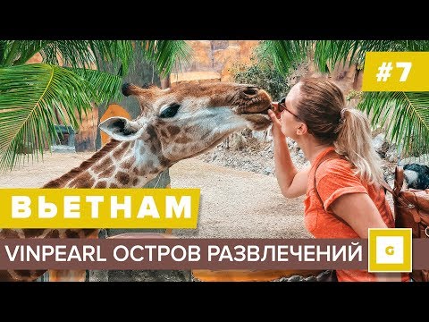 Видео: #7 НЯЧАНГ VINPEARL ОСТРОВ ВИНПЕРЛ ЭТО ДОЛЖЕН ВИДЕТЬ КАЖДЫЙ ЭКСКУРСИИ, СТЕЙК РЕСТОРАН, ВЬЕТНАМ 2019