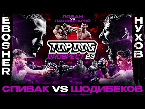 Видео: TOP DOG: PROSPECT 23, Дмитров | EBOSHER VS Нухов, Спивак VS Шодибеков