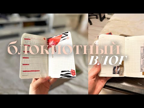 Видео: блокнотный влог 🤍 покупки канцелярии, планер на кольцах