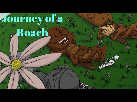 Видео: Journey of a Roach. Спасение мира