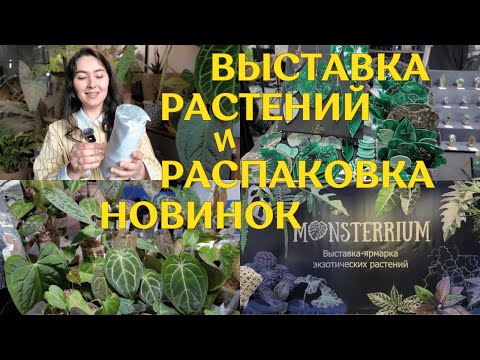 Видео: как я ХОДИЛА на первый МОНСТЕРРИУМ в Москве | распаковываю НЕТИПИЧНЫЕ для меня РАСТЕНИЯ 🌿