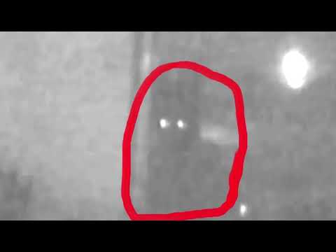 Видео: Топ 10 страшных существ снятых на камеру дома