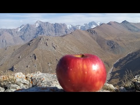 Видео: Пик Кумбель