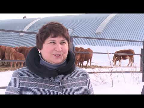 Видео: Меня зовут Плотинка