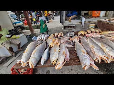 Видео: Шопинг в Гайане: крупнейший рыбный рынок — рынок Медоу-Бэнк