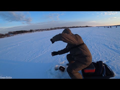 Видео: ТРОФЕЙНЫЕ СУДАКИ НЕ ЛЕЗУТ В ЛУНКУ и РВУТ ЛЕСКИ! Ловля крупного судака. Зимняя рыбалка 2023, Волга