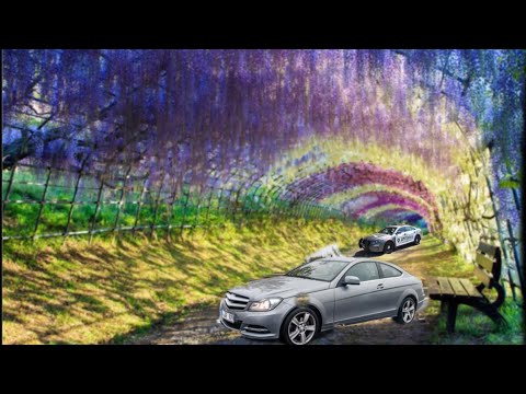 Видео: Погоня 2025