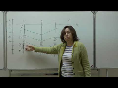 Видео: Яковишина Е. В. - Историческая геология. Семинары - 2. Метод построения фациального профиля