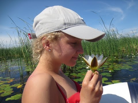 Видео: Сплав по реке Сара. Подводная охота сплавом. Сара - красота под водой.