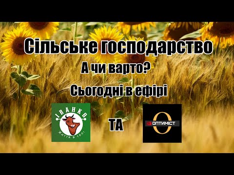 Видео: Скільки можна заробити на оранці? Навісне для трактора. Що краще вирощувати?