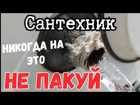 Видео: Откуда вы такие берётесь? Или вы местные?...