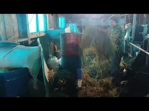 Видео: Измельчитель сена, соломы и травы,не плохой агрегат для хозяйства.