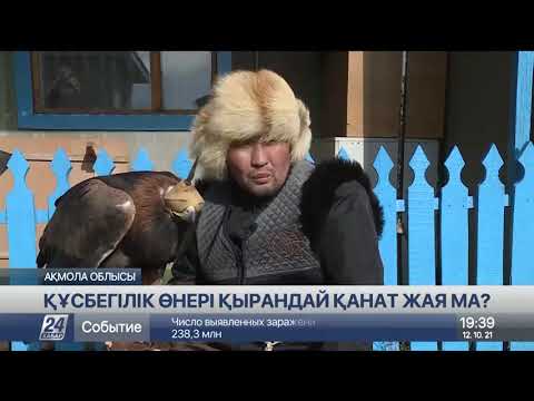 Видео: Құсбегілік – атадан балаға жеткен бекзада өнер