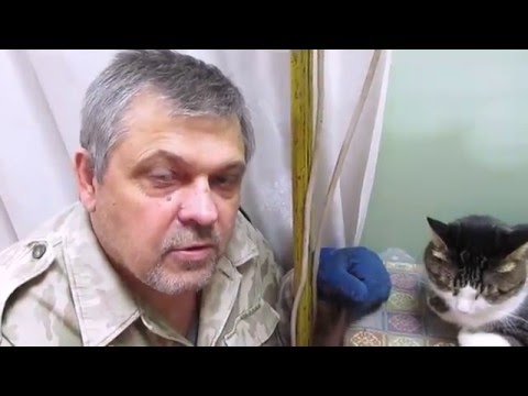 Видео: Ремонтируем авто сами ( разборка зеркала Chevrolet Lacetti )