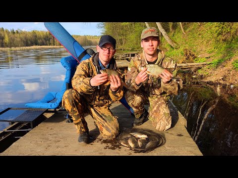 Видео: Наловили рыбки на фидер.Осиповичское водохранилище.Свислочь