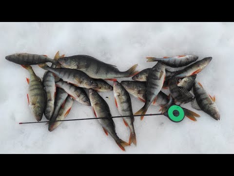 Видео: Изготовление безкивковой удочки для безмотыльной мормышки ВАРИАНТ 2.