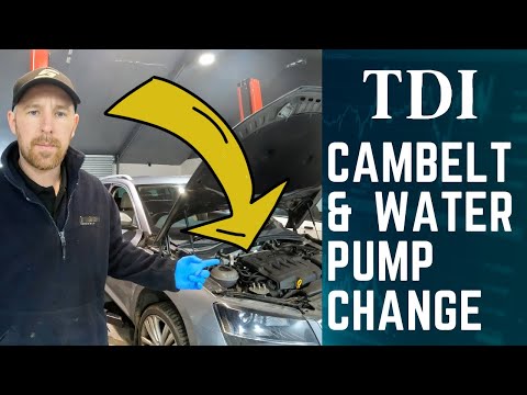 Видео: Как заменить ремень ГРМ (Cambelt) и водяной насос двигателя 2.0 TDI (VAG SKODA VW SEAT AUDI)
