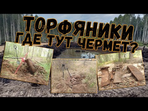 Видео: Где нужно и можно искать чермет на торфяниках в зависимости от типа разработок