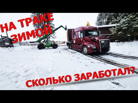 Видео: Дальнобой по США I Обзор трака Volvo 2024  #6