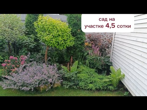 Видео: Какие МИКСБОРДЕРЫ можно создать на маленьком участке. Рассказываю и показываю названия растений 🌿